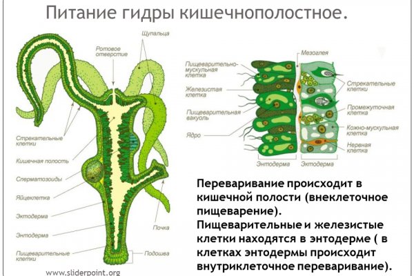 Зарегистрироваться на сайте кракен